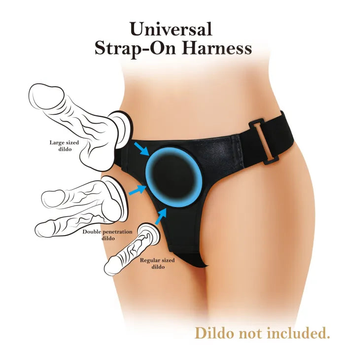 Own the Night - Universal Strap-On Harness Kit